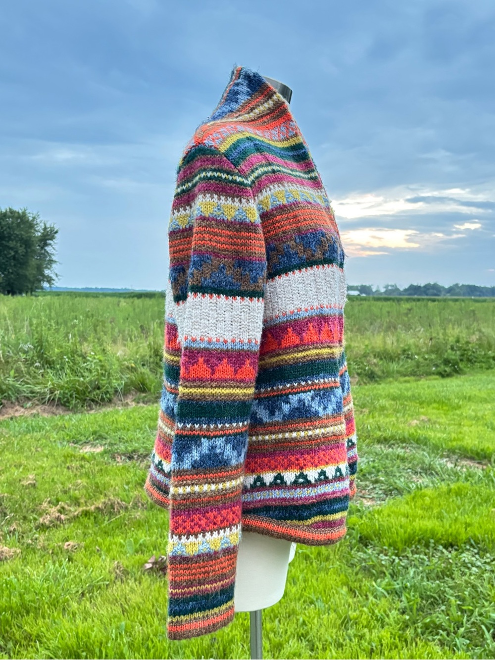 Fair Isle Womens Chunky Cardigan Sweater M Boho Indie Southwestern Concho Tassel - Picture 4 of 16